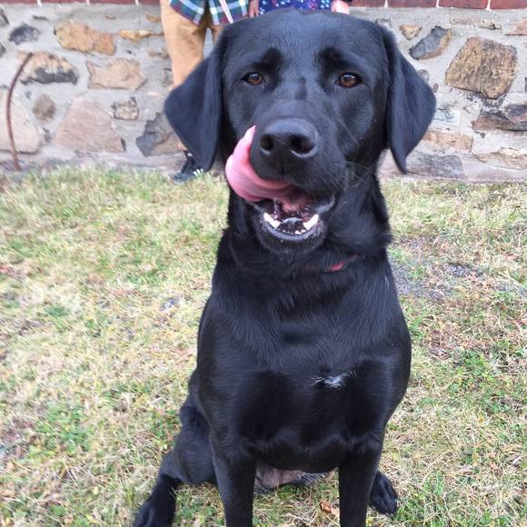 Meet your Posher, Patty - Picture 1 of 1